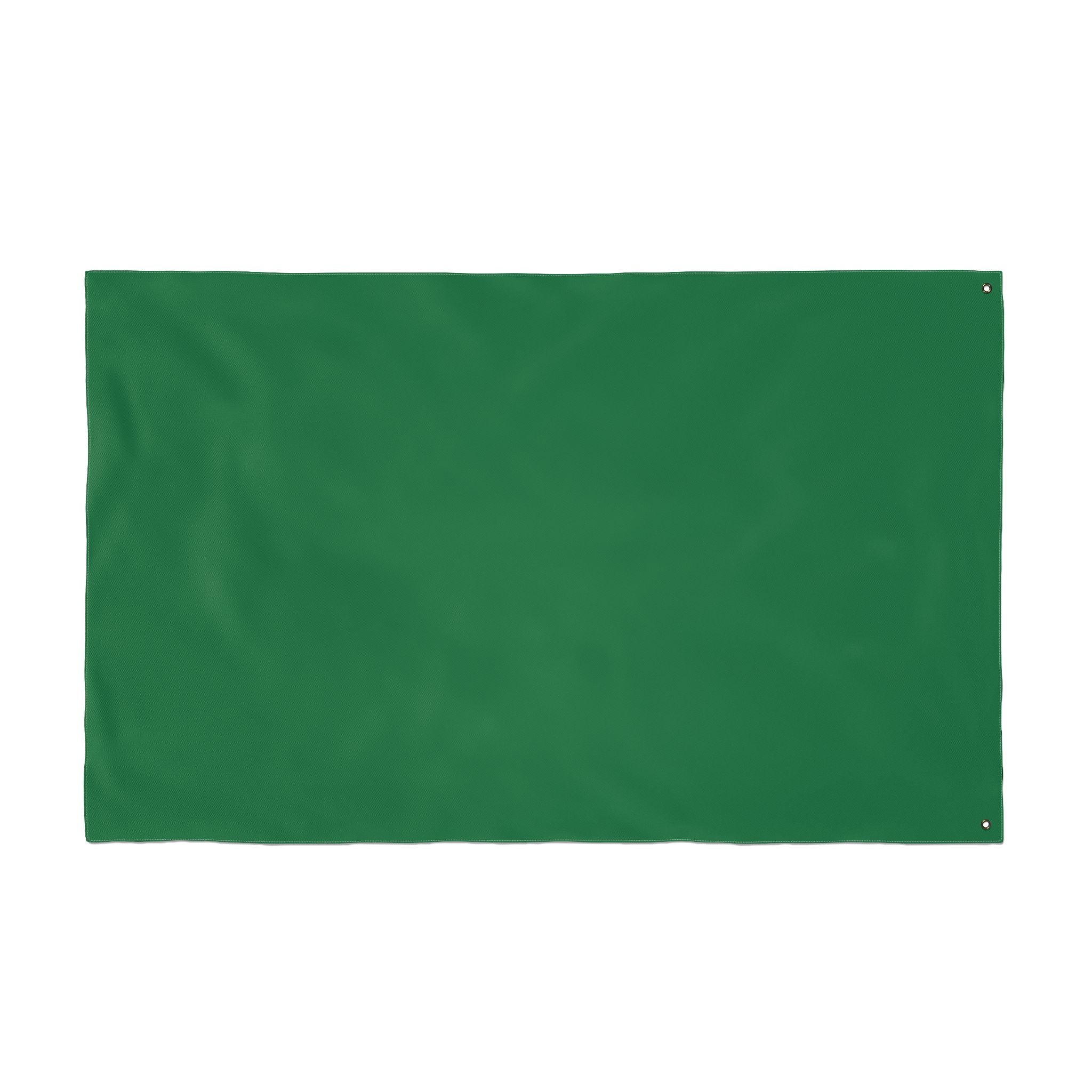 "DALLAS SUCKS" Flag