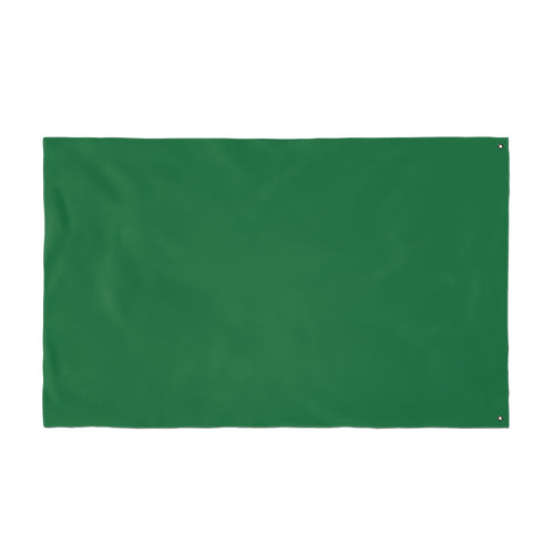 "DALLAS SUCKS" Flag